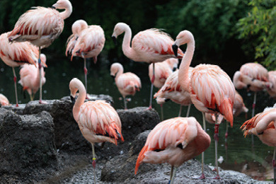 Kostenlose Herbstführung im grünen Zoo Wuppertal mit AboOho
